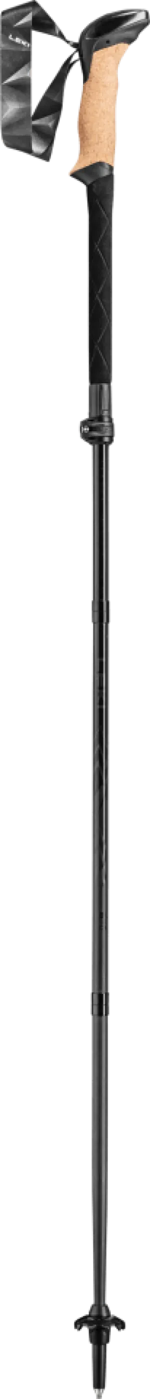 Leki Black Series FX Carbon